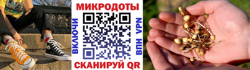 shop как зайти  Козьмодемьянск  Галлюциногенные грибы GOLDEN TEACHER 